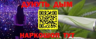 apvp Гатчина