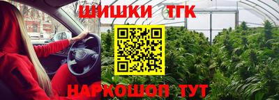 ГАЛЛЮЦИНОГЕННЫЕ ГРИБЫ Гагарин