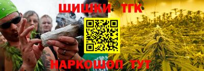 apvp Гатчина