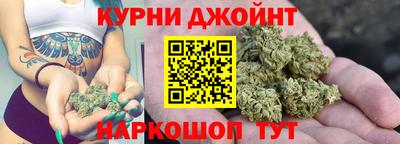 apvp Гатчина