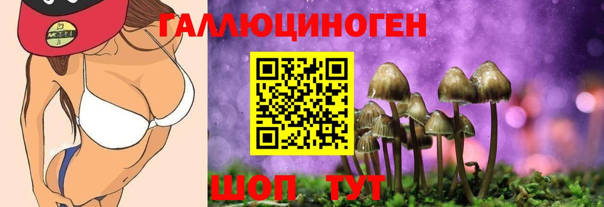 где найти   Галлюциногенные грибы Cubensis  Вход с VPN  Зеленодольск  Псилоцибиновые грибы Cubensis 